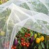 10Ft Insect Barrier Netting Fine Mesh Plant Cover Garden Row Cover Bird Netting for Raised Beds Greenhouse Vegetables Fruits