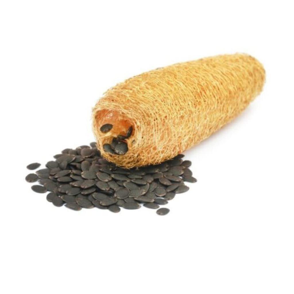 RSINC Loofah/Loufah Body Scrubber | Natural Skin Friendly, Light Weight 150 Gm B0DX24RW81