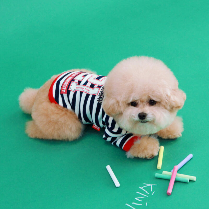 KINI WORLD LEAGUE STRIPE TSHIRT-BLACK (Short Sleeve T-Shirt) L