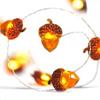 LED Pinecone Acorn String Lights, Hazelnut Ambiance String Lights, Night Lights for Indoor Rooms, Flashing Lights for Holiday Ha