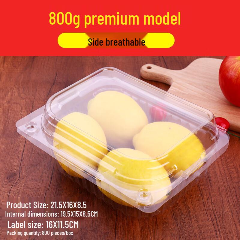 Shixun Disposable Transparent Fruit Containers with Lids (100-Pack)