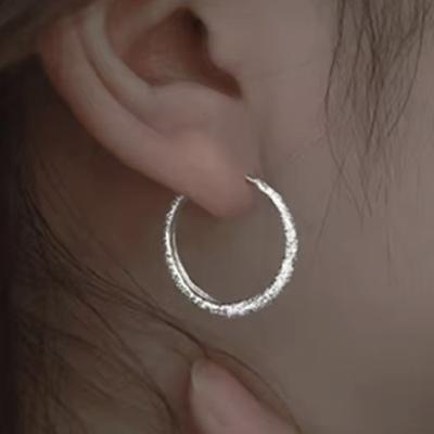 Sparkling Circle Sparkling Earrings, Light Luxury, High End, Starry Sky Ear Buckle, French Niche, Light Luxury Earrings for Women