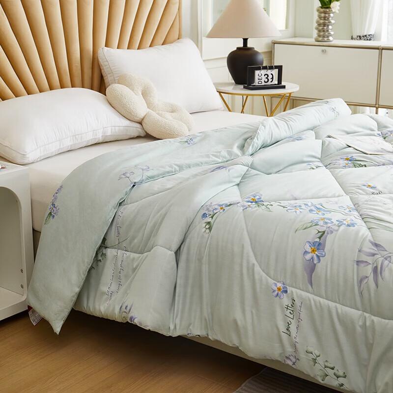 Beijiaman Lavender Soybean Skin-Friendly Winter Quilt