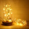Led Copper Wire Fairy Lights USB Powered LED String Lights Holiday Outdoor Lamp Garland Luces for Christmas Party Wedding Decor