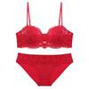 Set Reggiseno in Pizzo Francese da Donna Minimizer Push-Up con Ferretto Lingerie Nylon Spandex