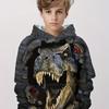 Children's Clothing Hoodies Kids Clothes Boy Children Top Long Sleeve Cartoon Dinosaurs Print Spring And Autumn Outdoor Clothes