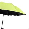 Beach Parasol Designed for Gardens, Pools, And Courtyards