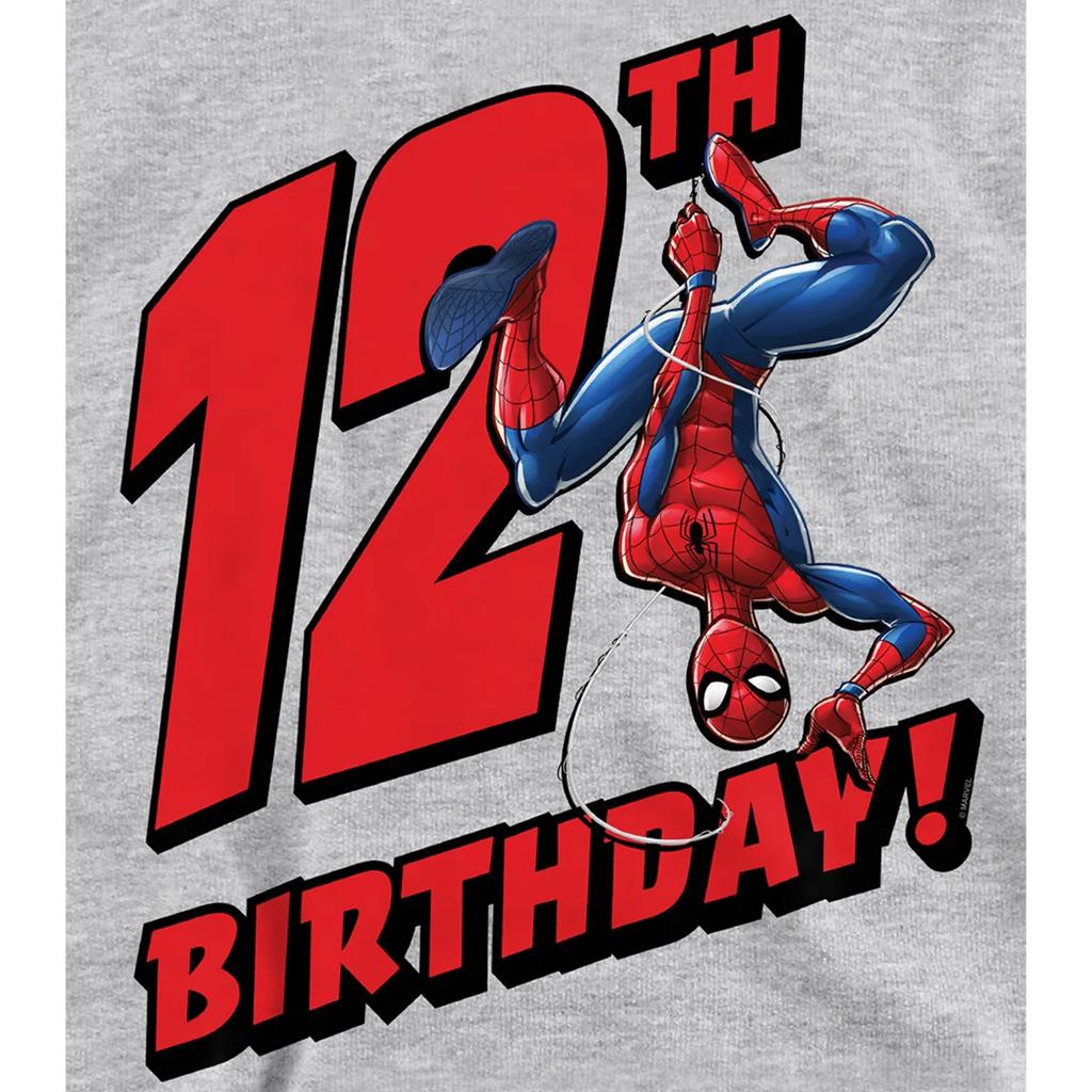 Spider-Man Childrens/Kids Heather Pull Over 12th Birthday Hoodie