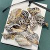 10Pcs Natural Black Rib Conch Shell Charms 12×20~22×35mm Seashell Pendants With Gold Bail Beach Jewelry DIY