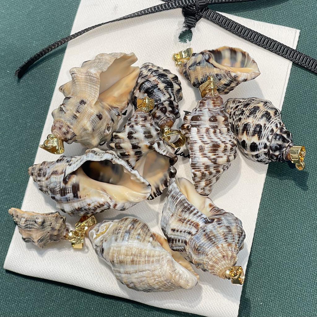 10Pcs Natural Black Rib Conch Shell Charms 12×20~22×35mm Seashell Pendants With Gold Bail Beach Jewelry DIY