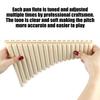 18 Pipes Pan Flute Portable Wind Instrument Beginner Friendly C Scale Panpipe  Practice Instrument