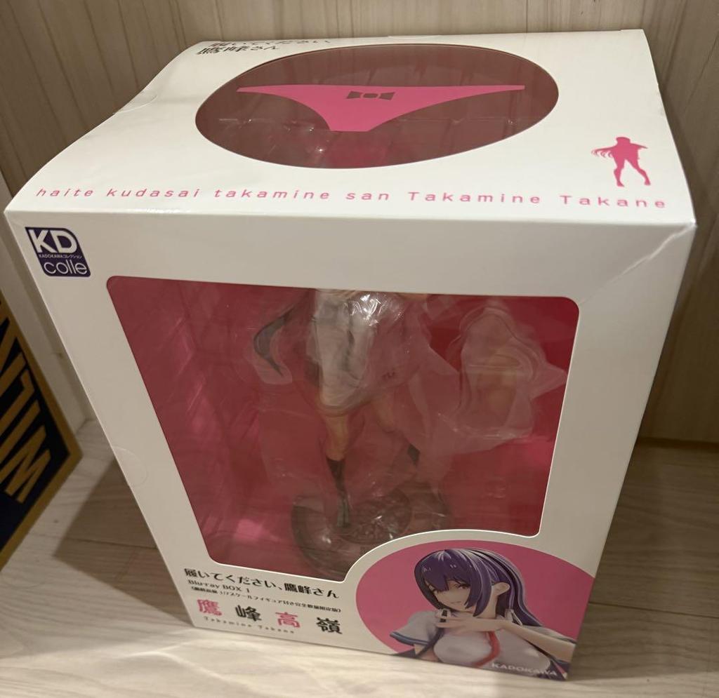 [USED] Takamine Takamine 1/7 scale figure only Please wear it, Takamine-san Boxed version