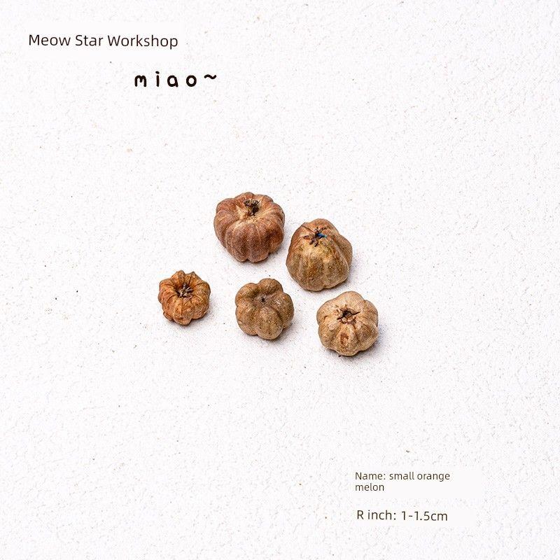 

Cat Fengrong Dried Fruit Toy Pine Fruit Natural Plant Smell Fengrong Zihi Supplies 5 small orange melons