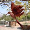 Not Fade Simulation Feather Birds Realistic Christmas Tree Hummingbird Pendant  Garden
