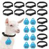 1 set Livestock Animal Identification Hang Tag Kit Adjustable Nylon Collar TPU Double-sided Serial Number Hang Tag & Metal Ring