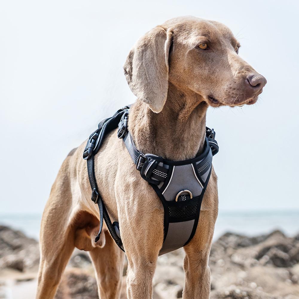 Chest Strap Vest Type Corgi Medium Golden Retriever Large Dog Walking Dog Chest Back Pet Dog Free Pullover