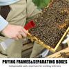 1pc Beekeepers Extracting Scraper Beekeeping Premium Stainless Steel Hookhive Tool Beekeeping Equipment