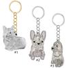 Clear Pet Hair Memorial Storage Box Keepsakes Keychain For Dog Lover Pet Furs Collector Keychain Accessories Gift
