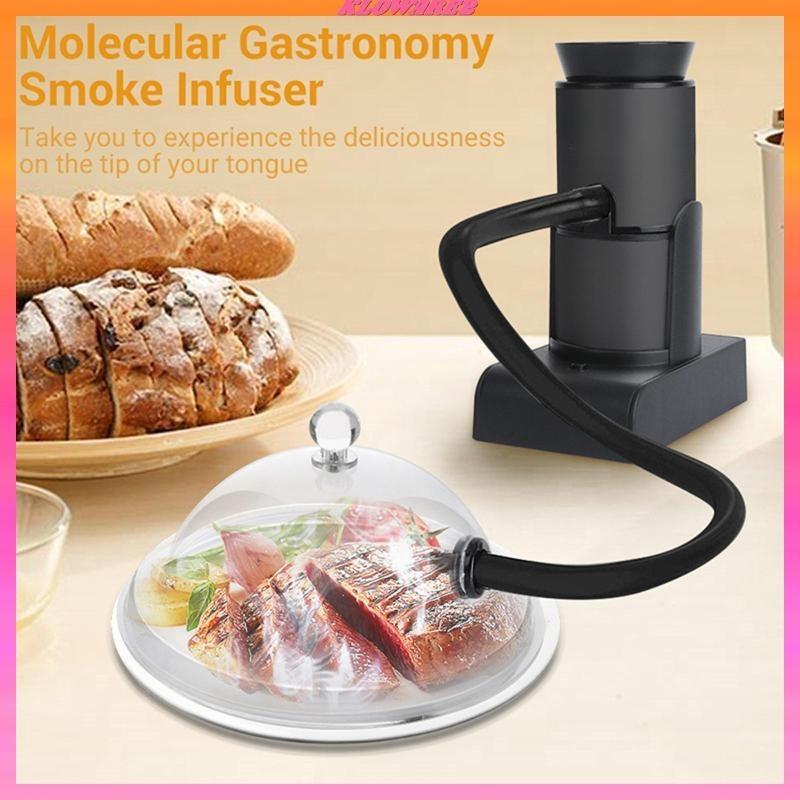 Portable Mini Food Professional Molecular Gastronomy Infuser BBQ Meat Foodie Kitchen Tools Set