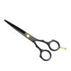 5.5-Inch Black Hairdressing Scissors & Thinning Shears Set