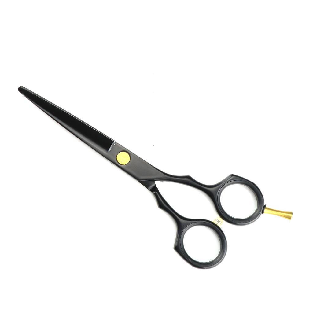 5.5-Inch Black Hairdressing Scissors & Thinning Shears Set