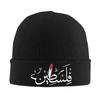 Bonnet Hats Beanie Hats Autumn Winter Custom Skullies Beanies Cool Unisex Adult Outdoor Elastic Cap