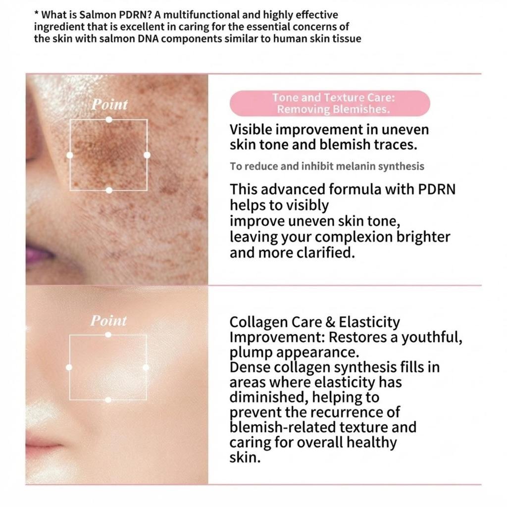 medicube PDRN Pink Collagen Capsule Cream 55g + Pink Peptide Ampoule 30ml Set + Free Mask Sheet