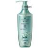 Schwarzkopf Oil Control & Anti-Dandruff Shampoo