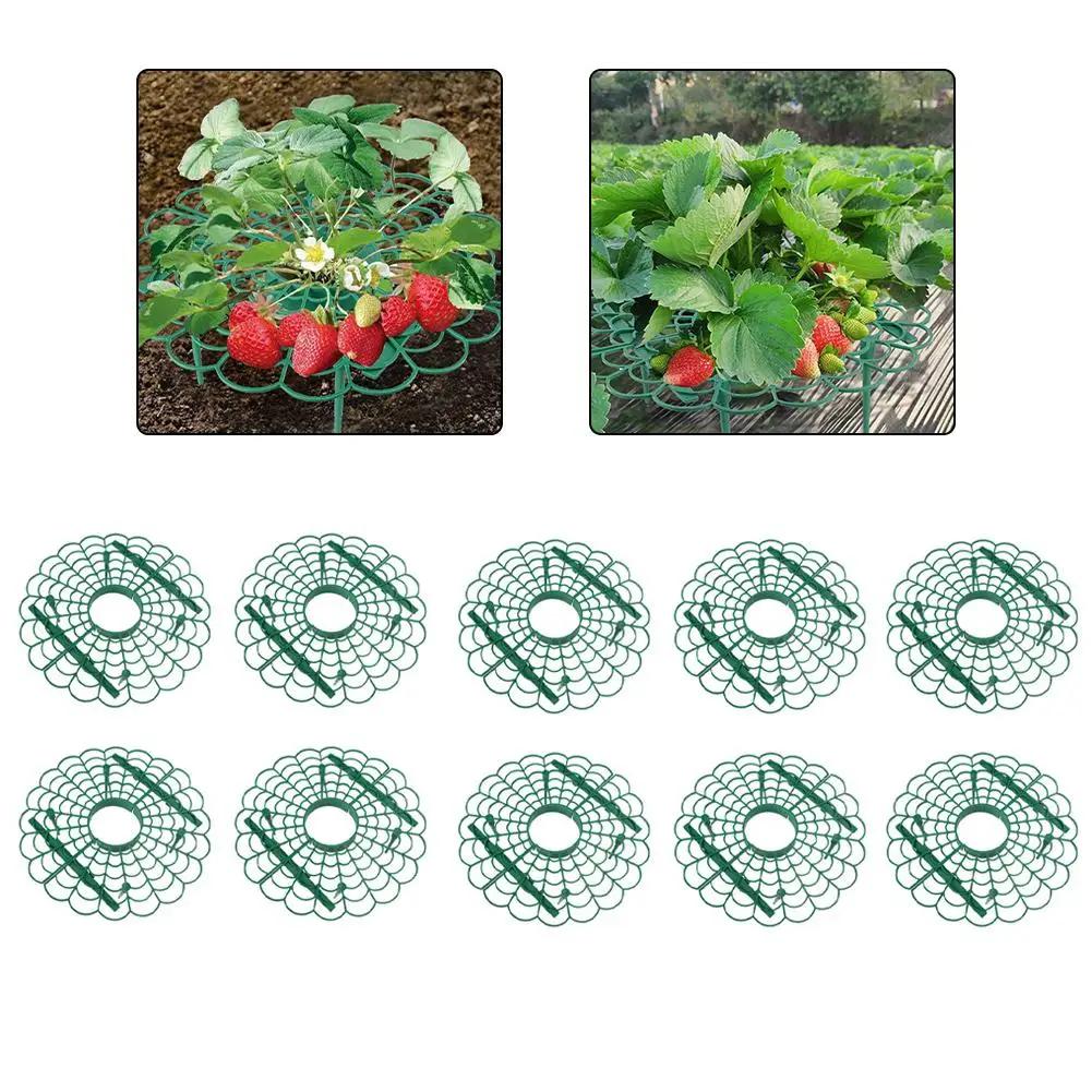 

10pcs Strawberry Plant Supports With Three Sturdy Legs Provide Protection For Strawberries Against Molds Rot, And Dirt China Mainland