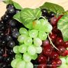 Kids' Educational Toys: Simulated Fruits - Grapes, Persimmons, Apples, Bananas - for Play, Decor, and Props