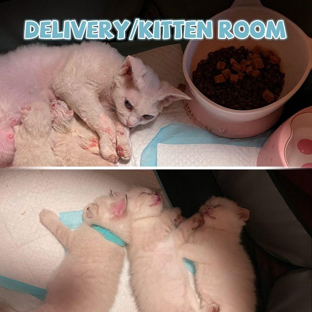 Foldable Pet Playpen Portable Pet Exercise Pen Pet House  Indoor Outdoor Travel Camping Use