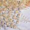 Tomoni Thin & Tough Raccoon Nail Stickers - Popular Children's Nail Art & Mobile Case Accessories