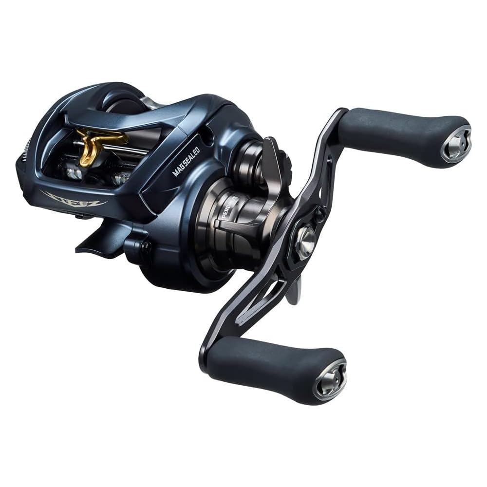 Daiwa Steez AII TW 1000HL Baitcasting Reel 2022 Model Black