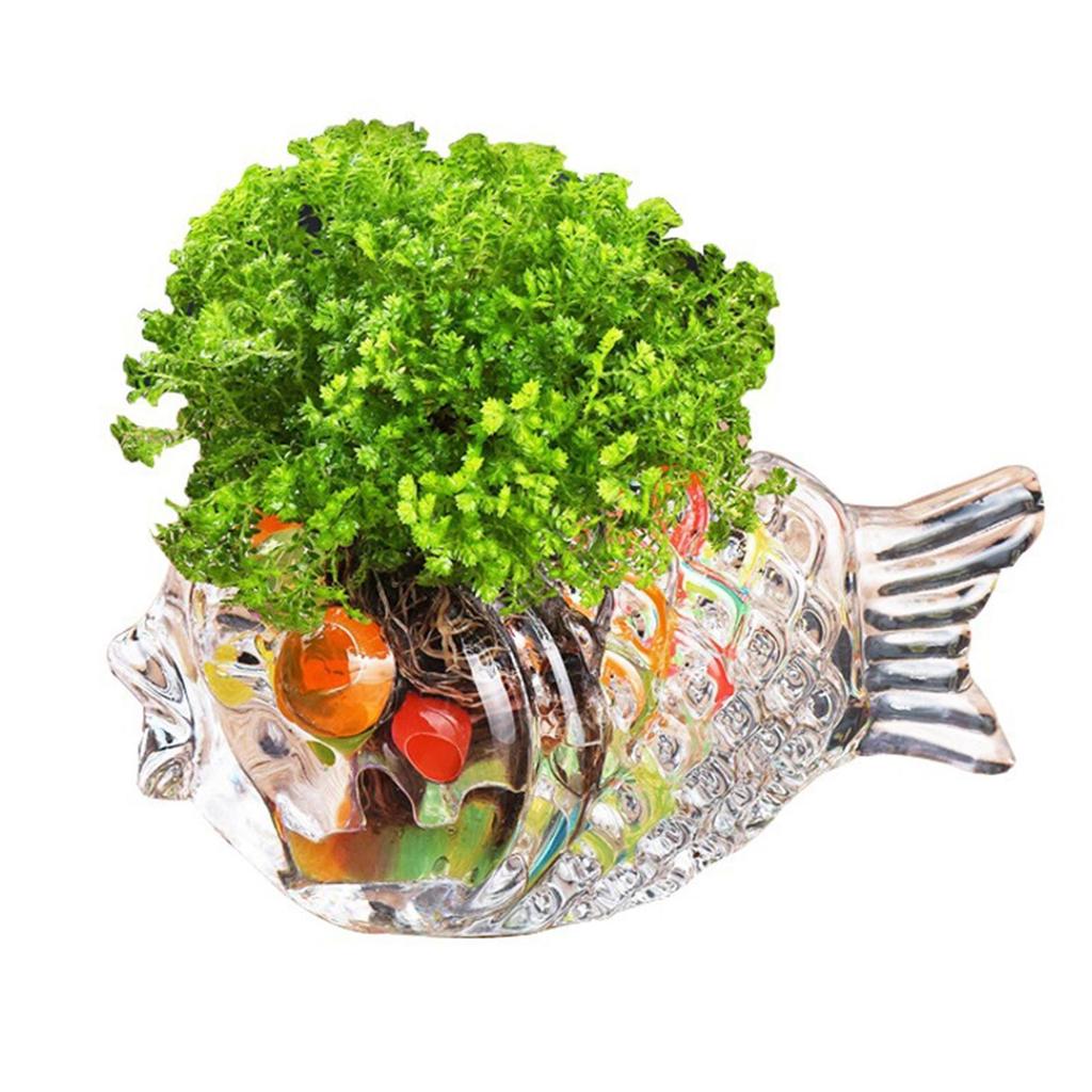 Virágcserép Dekoráció Ivópoharak Üvegáru Hideg Italokhoz Otthoni Gyümölcslevek