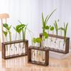 Creative Wooden Hydroponic Shelf Vase: Hanging Glass Ornament for Plant Decoration