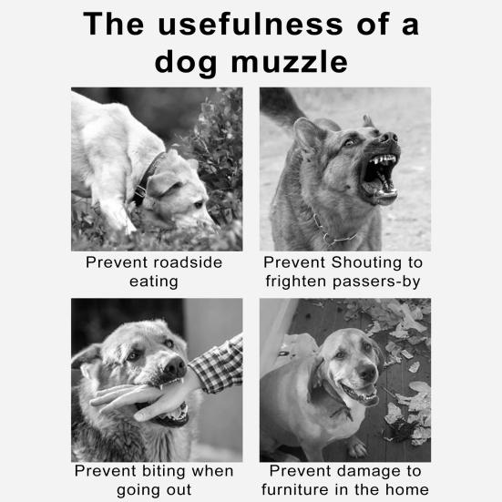 Museruola per Cani Regolabile Riflettente Pettorina per Cani Confortevole Facile da Usare Museruola per Animali Domestici Guinzaglio per Passeggiate all'Aperto