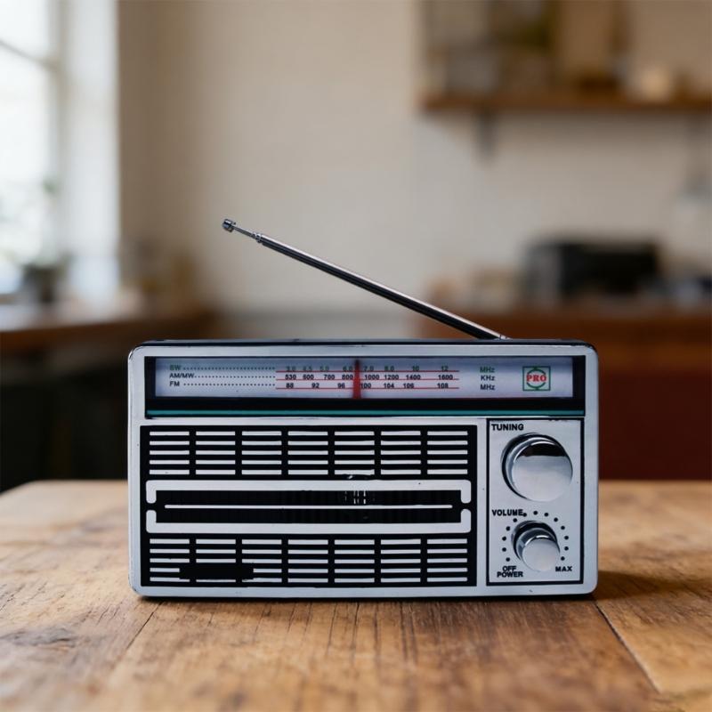 Retro AM FM SW Radio Specifically for Senior Citizens Easy Controls Loud Speaker and Battery or AC230v Power Supply