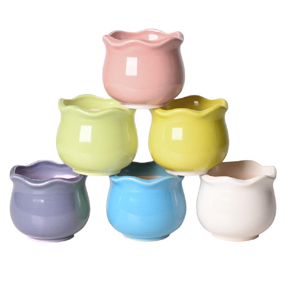 

DIFEIUKI Succulent Plant Set of Ceramic Mini Plant Macaron Cute Round Small Window Housewarming Tabletop Cactus with Drainage Hole Pots, 6, Pots,
