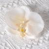 Headdress Simulated Flower Handmade Accessories Butterfly Orchid Flower Earring   Women