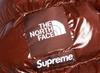 Supreme The North Face 700-Fill Down Parka Brown