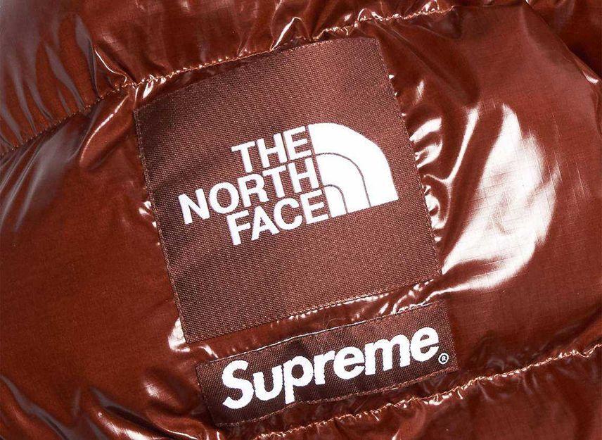 Supreme The North Face 700-Fill Down Parka Brown