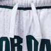 Jordan Dri-FIT Sport Diamond Shorts White Green FV8613-100
