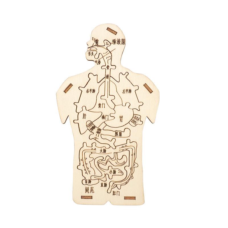 

Популярный для науки Дети Сделай сам Орган человека Пищеварительная система Разложение