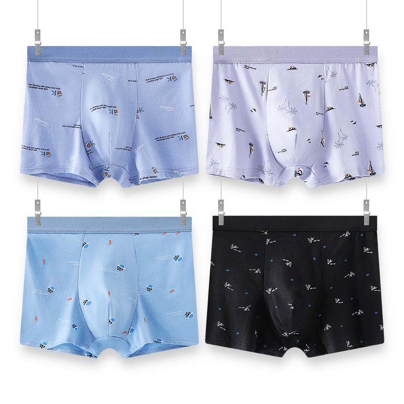 Plus Size Men's Year of the Rat Red Boxer Briefs