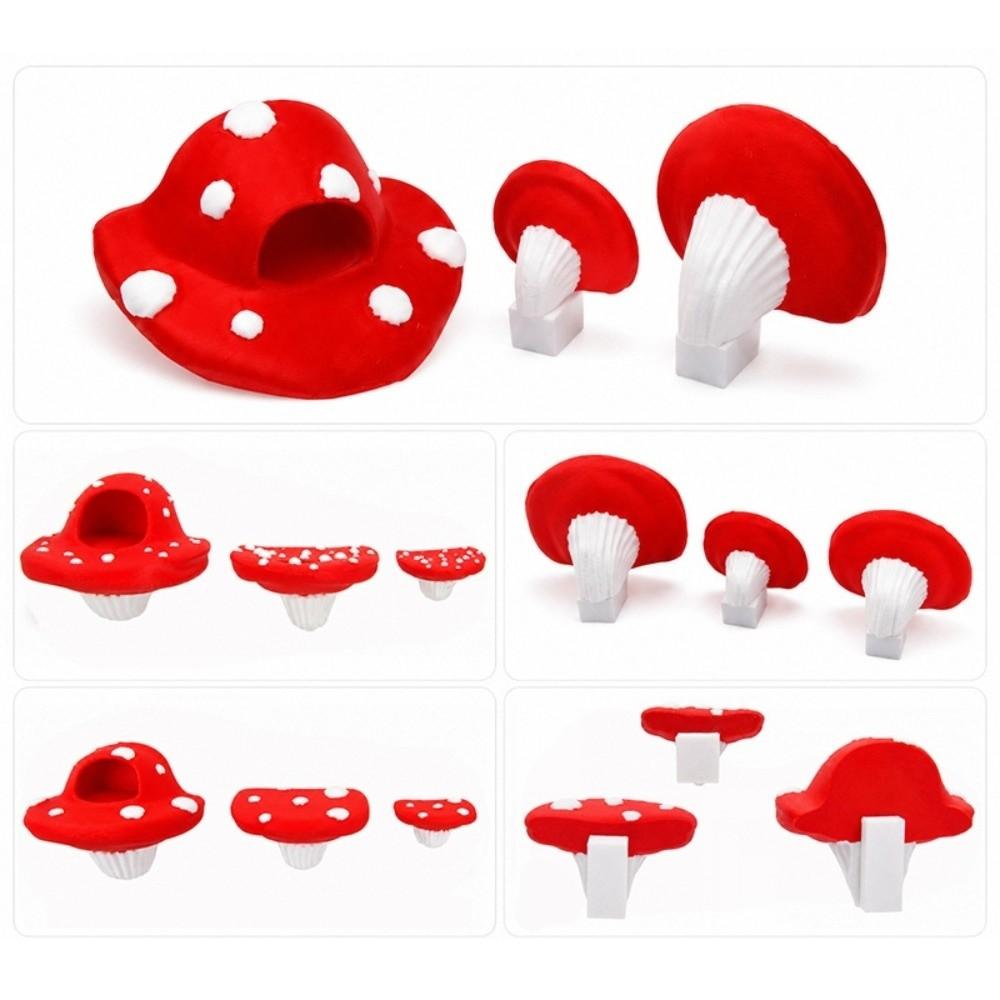 Cloud-shaped Jumping Spider  Platform Climbing Ladder for Spider Terrarium  Vivarium