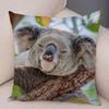 Cute Australian Koala Pillowcase Modern Home Bedroom Living Room Sofa Cushion Cover X Peach Skin Pillowcase