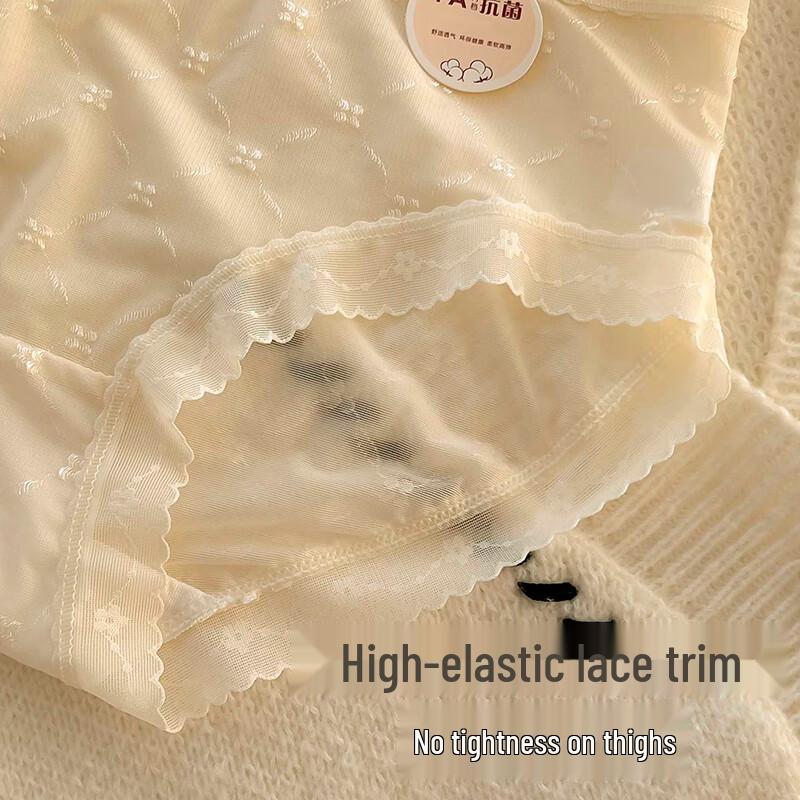 FitonTon Women's Lace Trim Briefs 5-Pack