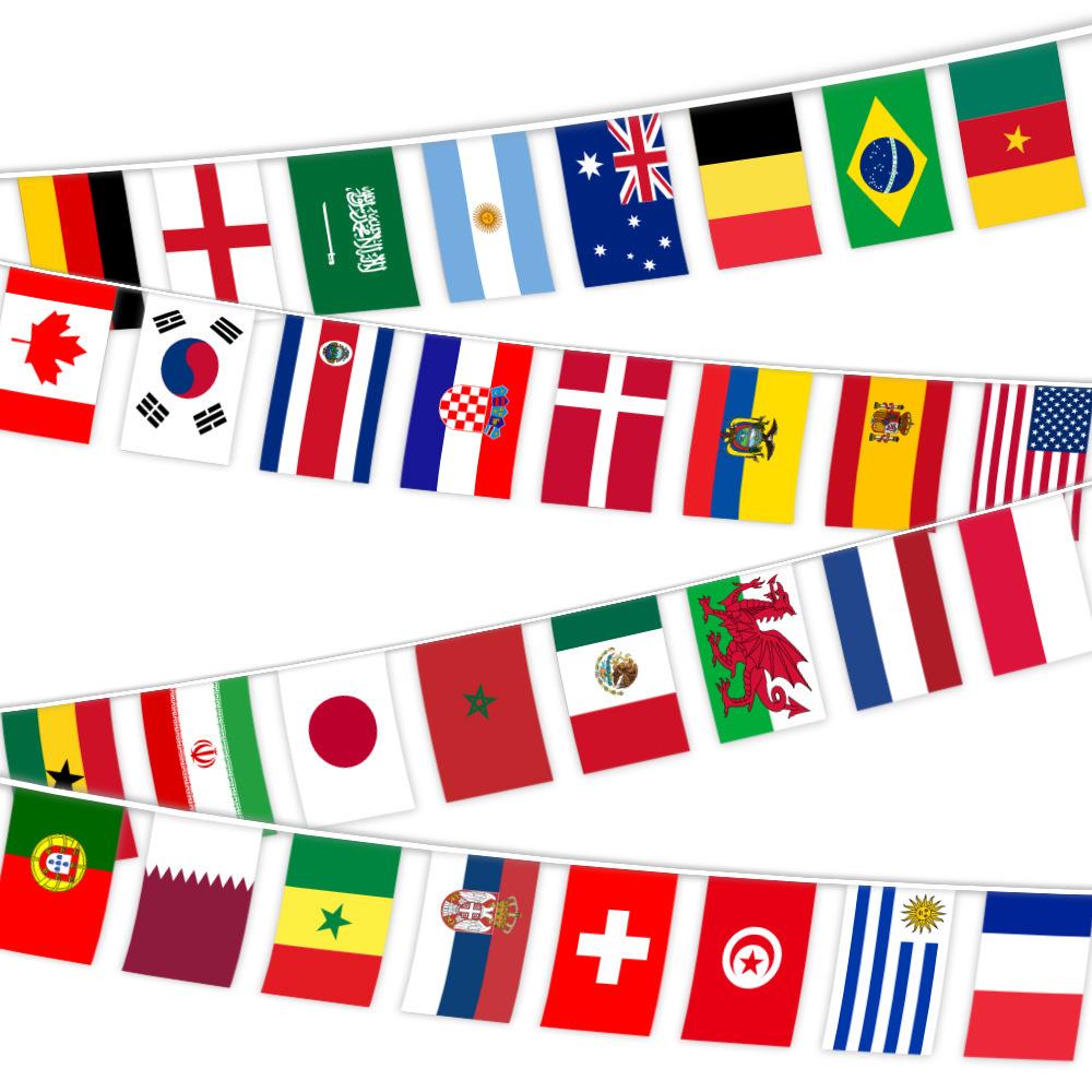 Z-ONE FLAG 100/200 Countries National Flag14x21cm 20x30cm String Flag Countries Around The World Nations Flag For Party decor