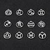 Teamer 12pcs Zodiac Floating Charms Stainless Steel Gemini Aries Libra Taurus Twelve Constellation Pendant for Jewelry Making