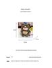 Cute Cartoon Little Bear Plush Backpack - Versatile and Adorable!